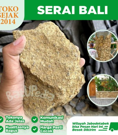 serai bali kuning