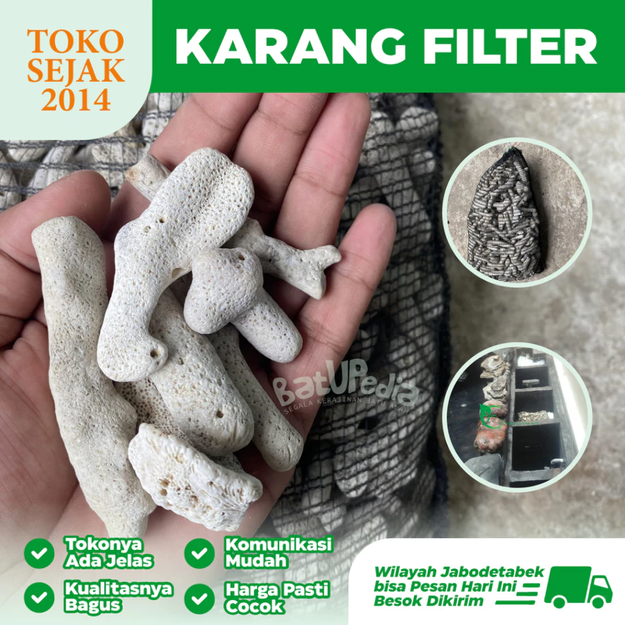 jual karang jahe