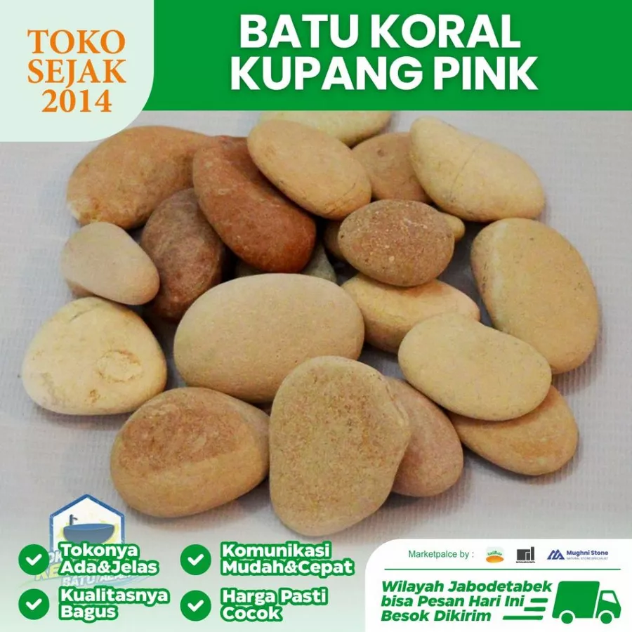 jual Batu Koral Kupang PInk