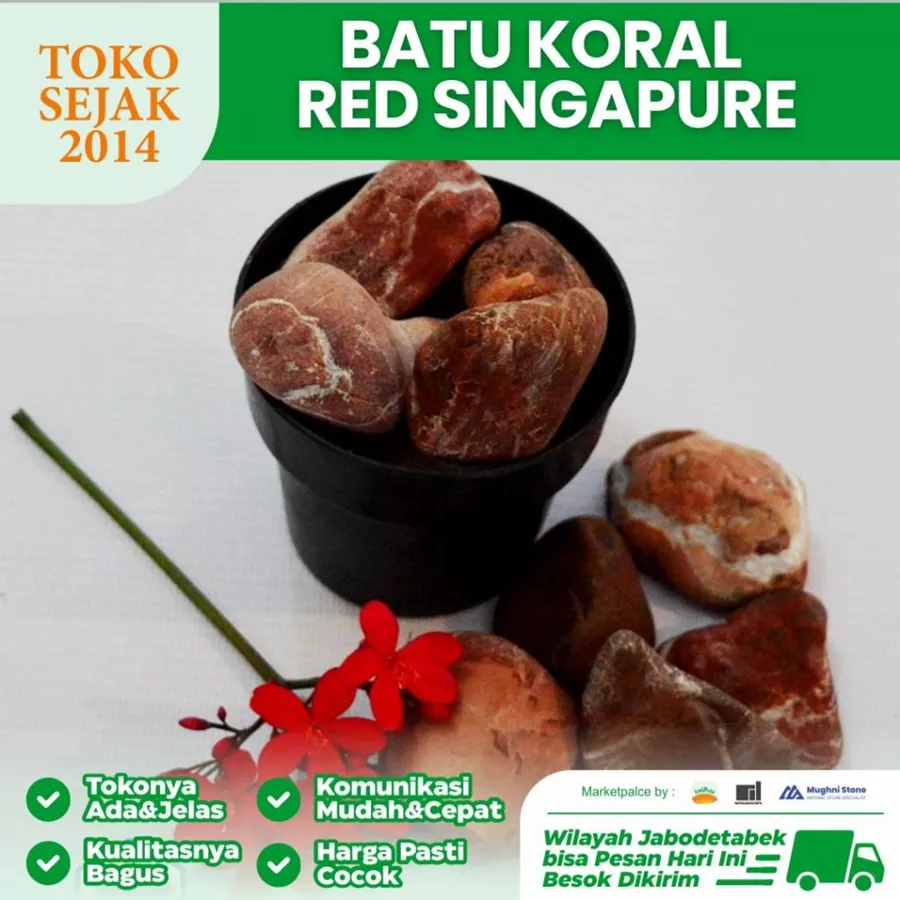 jual Batu Koral Red Singapur