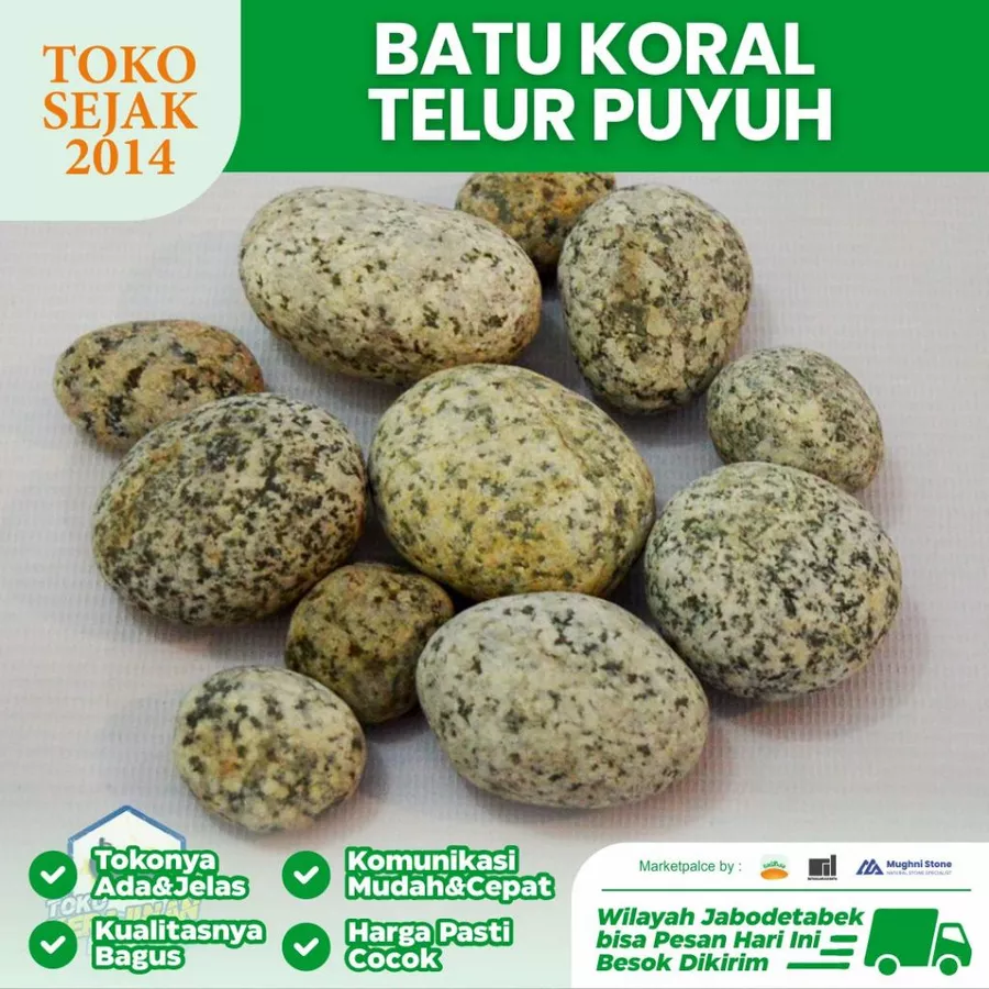 jual Batu Koral Telur Puyuh