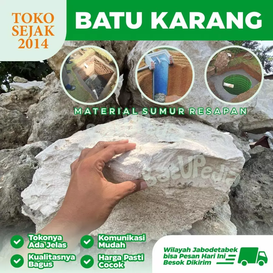 jual batu karang putih resapan