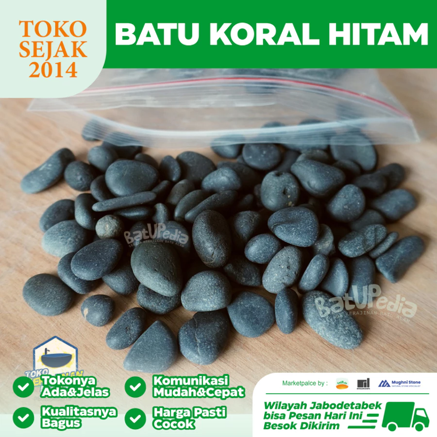 jual batu koral alor hitam