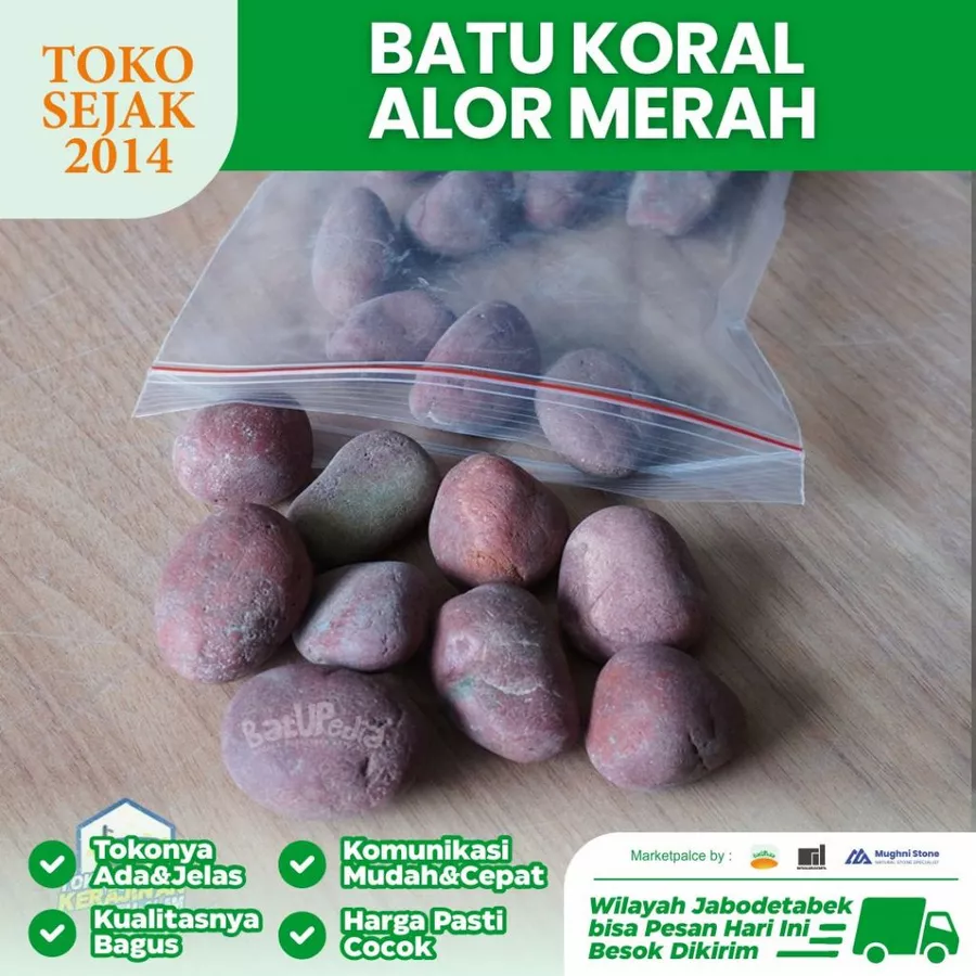 jual batu koral alor merah