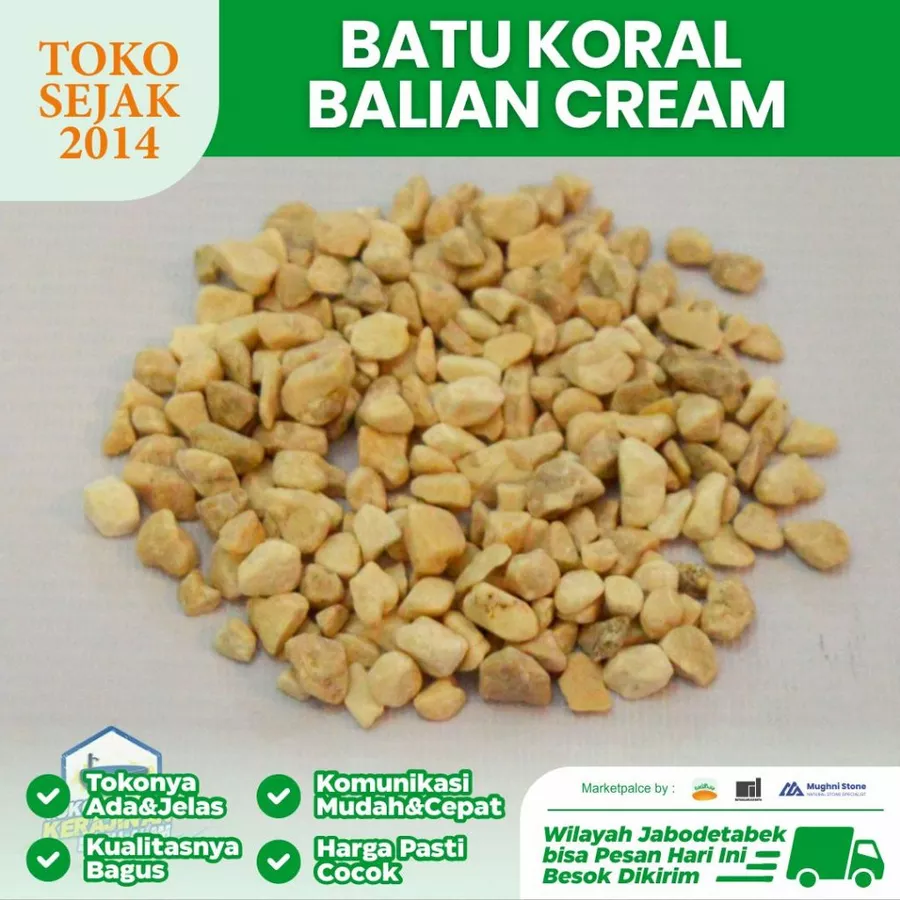 jual batu koral balian cream