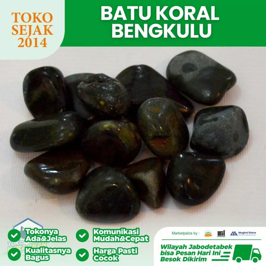 jual batu koral bengkulu