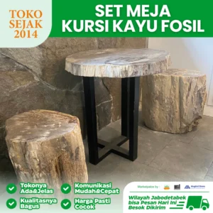 jual set meja kursi batu fosil kayu
